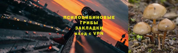 PSILOCYBIN Алексин