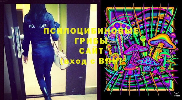 бошки Аркадак