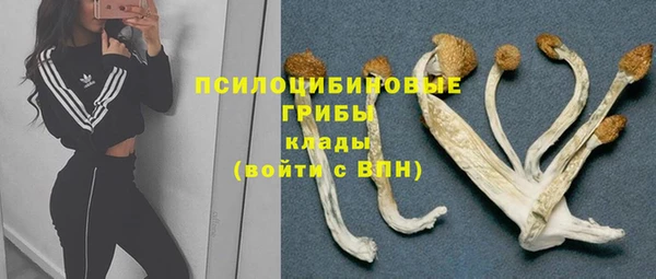 соль ск Наволоки